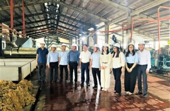 Giảng viên Khoa Nhà nước và pháp luật...