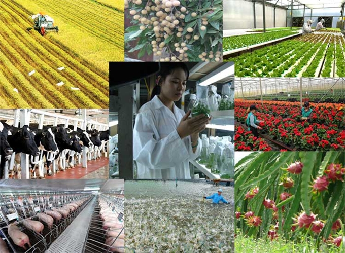 Vai trò của khoa học và công nghệ đối với sự phát triển của lực lượng sản xuất trong nông nghiệp, nông thôn Hà Tĩnh